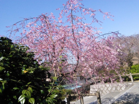 画像15